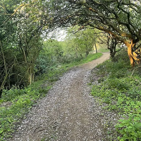 Honeybee - Part Of The The Bay Village With Pool, Gym And Direct Access, Pub, Restaurant, Tennis And Meadows Walks 펜션 파일리