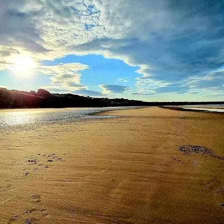 Honeybee * Filey